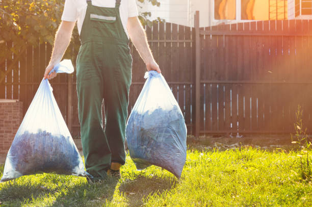 Best Dumpster Rental Services  in Minot Af, ND